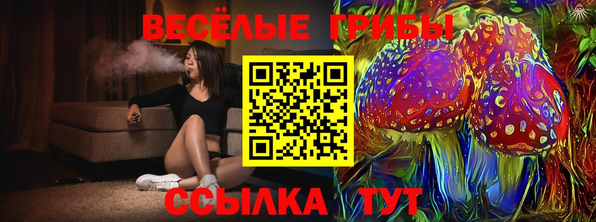 Псилоцибиновые грибы MAGIC MUSHROOMS  Вход с VPN  Вятские Поляны 