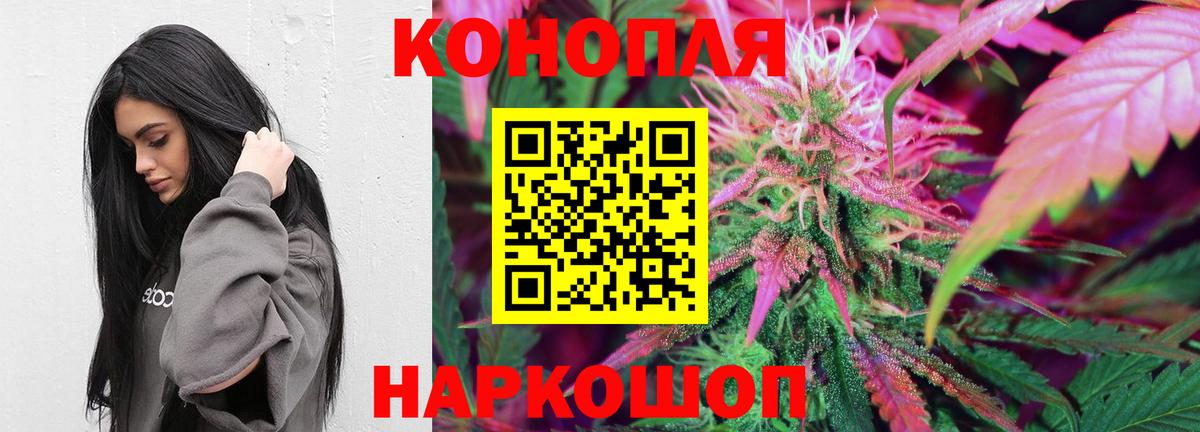 Конопля гибрид Вятские Поляны